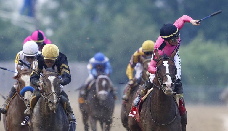 Horse Racing at Cheltenham Festival