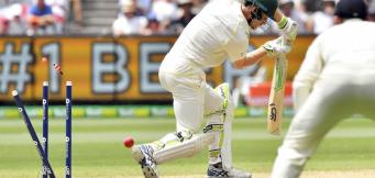 Cricket gamble