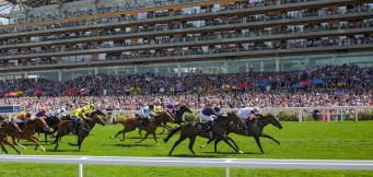 Biggest Priced Winners At Royal Ascot