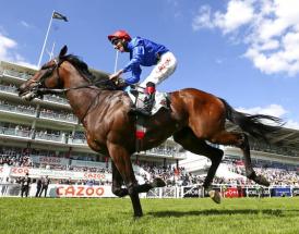Horse racing