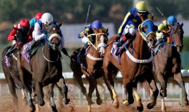 Cheltenham Gold Cup Day Four