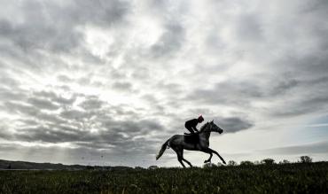 Harry Fry Horses In Training