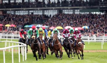 Fairyhouse - one of the leading racecourses in Ireland