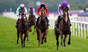 St Leger Ante Post Tips