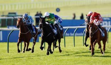 Cesarewitch Handicap Ante Post