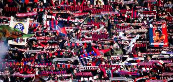Bologna fairytale